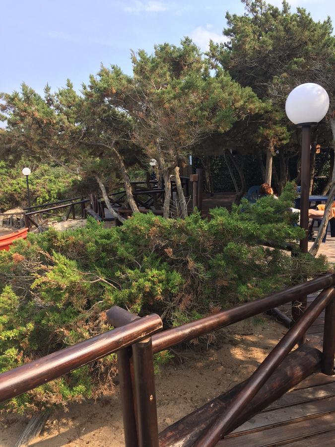 Rosa Marina Frontline Beach ออสตูนี ภายนอก รูปภาพ